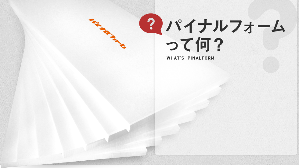 パイナルフォームって何?